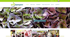 Desktop Screenshot of antonspaargaren.nl